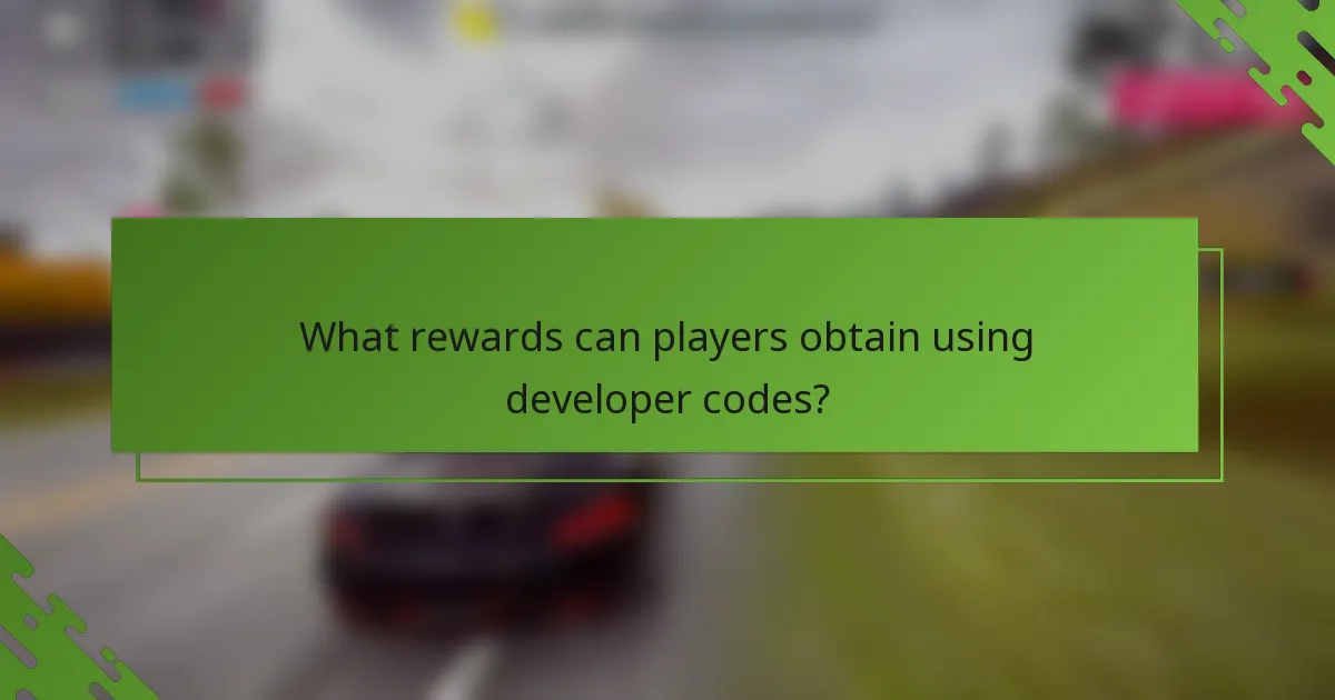 What rewards can players obtain using developer codes?